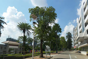 阳江市卫生学校